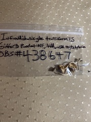 Spodocybe trulliformis