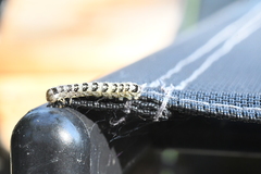 Lithophane patefacta