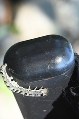 Lithophane patefacta