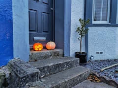 Cucurbita maxima maxima