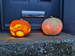 Cucurbita maxima maxima