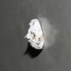 Wurthiini