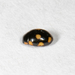 Octavia Lady Beetle - Photo (c) Karen Bourque, some rights reserved (CC BY-NC), uploaded by Karen Bourque