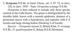 Octopoma