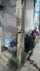 Catonephele numilia esite