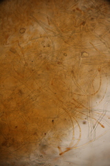 Neottiella