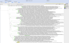 Lepiota fuliginescens