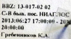 Dimorphopterus spinolae