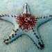 Honeycomb Cushion Star - Photo (c) Jean Roger, some rights reserved (CC BY-NC-ND), uploaded by Jean Roger