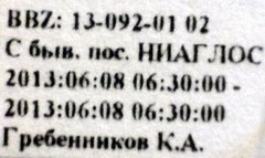 Emblethis denticollis