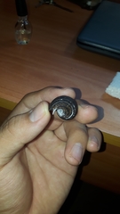 Opeatostoma pseudodon