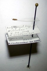 Lasiacantha capucina