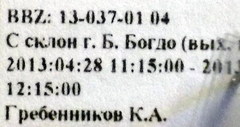 Microplax interrupta
