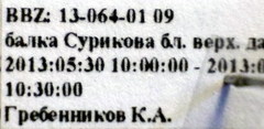 Microplax interrupta