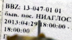 Odontotarsus