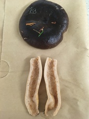 Lactarius kauffmanii