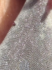 Jellyella tuberculata