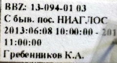 Pionosomus opacellus