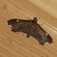 Deuterophysa