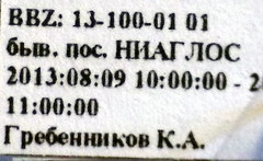 Prostemma sanguineum