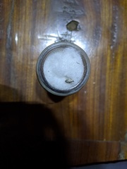 Sesara parva