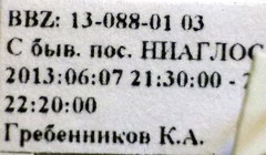 Sciocoris deltocephalus