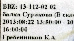 Ventocoris halophilum