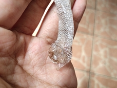 Oligodon purpurascens