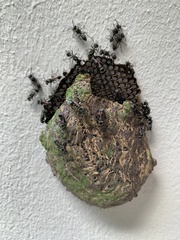 Metapolybia