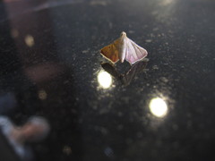 Endotricha theonalis