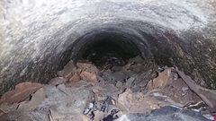 Malayopython reticulatus