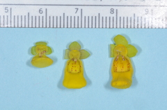 Calceolaria teucrioides