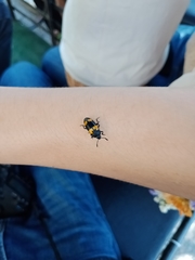 Episcapha quadrimacula