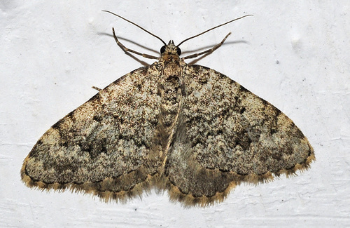 Representative image of Almeria