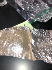 Apioperdon pyriforme