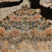 Epirrhoe sandosaria - Photo (c) faluke, some rights reserved (CC BY-NC), uploaded by faluke
