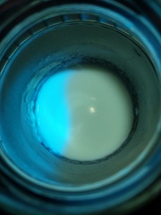 Pseudomonas