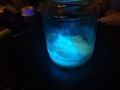 Pseudomonas