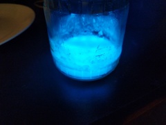 Pseudomonas