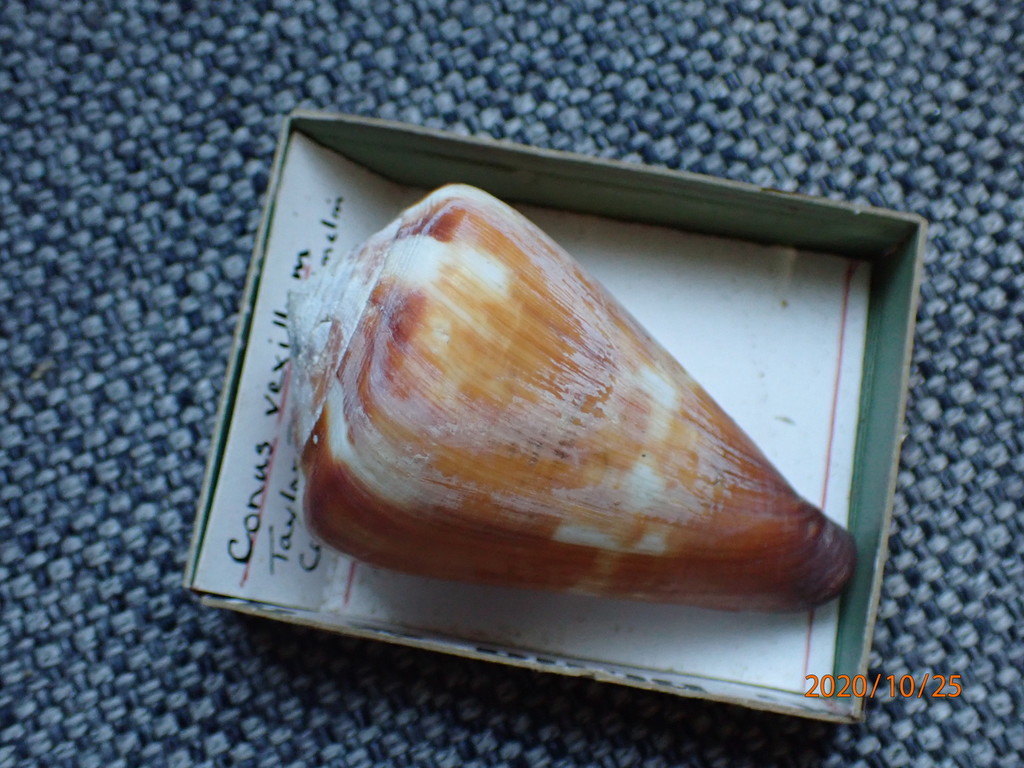 Flag cone