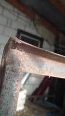 Dermanyssus gallinae