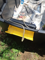 Thelotornis capensis