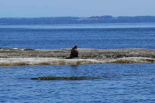 (c) T. Abe Lloyd, some rights reserved (CC BY-NC)