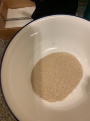 Saccharomyces cerevisiae