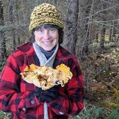 Cantharellus cascadensis