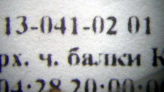 Camponotus fedtschenkoi