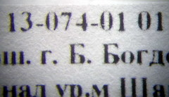 Camponotus fedtschenkoi