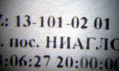 Camponotus turkestanus