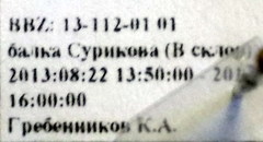 Cardiocondyla stambuloffii