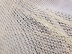 Empicoris rubromaculatus